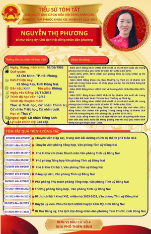 Tiểu sử Tóm tắt của người ứng cử Đại biểu HĐND