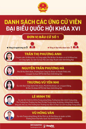 Danh sách cử tri Đồng Nai