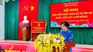Ban chấp hành Đảng bộ xã tổ chức kỳ họp Hội nghị Ban Chấp hành Đảng bộ xã Tân An lần thứ 2 (kỳ họp thường kỳ)