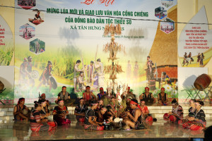 TƯNG BỪNG LỄ HỘI MỪNG LÚA MỚI TẠI XÃ TÂN HƯNG