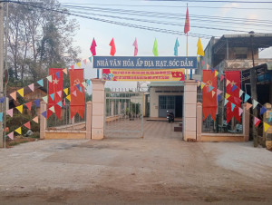 XÃ TÂN HƯNG RỰC RỠ SẮC CỜ CHÀO MỪNG ĐẠI HỘI XIV CỦA ĐẢNG