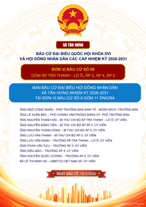 THIET KE BAU CU TO BAU CU SO 6