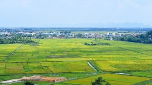 TÂN HƯNG SẼ KIỂM TRA, XỬ LÝ CÁC HOẠT ĐỘNG THUỘC LĨNH VỰC QUY HOẠCH, XÂY DỰNG, CÔNG THƯƠNG, ĐẤT ĐAI, NÔNG NGHIỆP VÀ MÔI TRƯỜNG