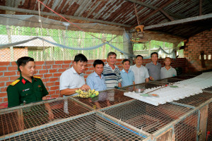 LÃNH ĐẠO XÃ TÂN HƯNG KHẢO SÁT CÁC MÔ HÌNH NÔNG NGHIỆP HIỆU QUẢ CAO