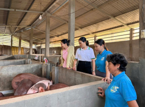 GƯƠNG HỘI VIÊN PHỤ NỮ PHÁT TRIỂN KINH TẾ TỪ NGUỒN VỐN NGÂN HÀNG CHÍNH SÁCH XÃ HỘI HỚN QUẢN