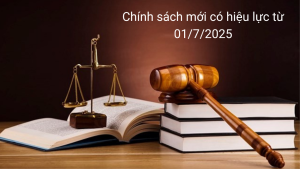 CHÍNH SÁCH CÓ HIỆU LỰC TỪ 1-7-2025