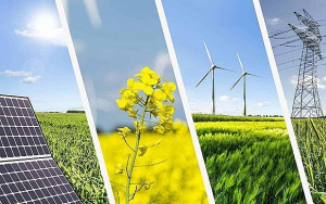 Hình ảnh minh họa. Nguồn: Internet.