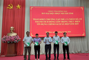 Ngân hành chính sách xã hội tỉnh đã khen thưởng 03 tập thể có thành tích trong thực hiện tín dụng chính sách xã hội năm 2025.