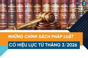 Nhiều chính sách mới có hiệu lực từ ngày 01/3/2026. Ảnh: nguồn internet.