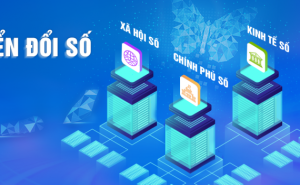 Hình ảnh minh họa. Nguồn: Internet.