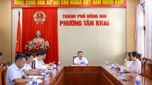 TÂN KHAI PHẤN ĐẤU ĐẠT TỶ LỆ GIẢI NGÂN ĐẦU TƯ CÔNG THEO KẾ HOẠCH ĐỒNG NAI ĐỀ RA