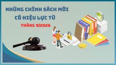 Hình ảnh minh họa. Nguồn ảnh: internet.