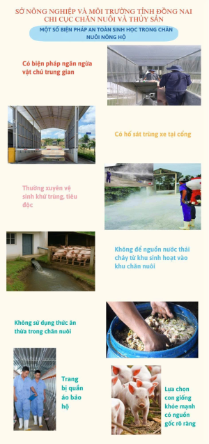 Tăng cường các biện pháp an toàn sinh học phòng, chống bệnh Dịch tả lợn Châu Phi