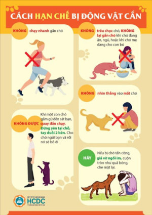Xã Tân Lợi vận động nhân dân không thả rông chó, các loại...