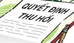 HÌNH THU HỒI ĐẤT