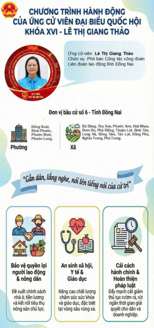 Tiểu sử tóm tắt và Chương trình hành động của người ứng cử đại biểu Quốc hội khóa XVI - Lê Thị Giang Thảo