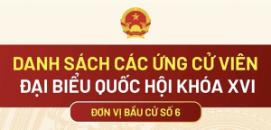 Danh sách các ứng cử viên đại biểu Quốc hội khóa XVI - Đơn...