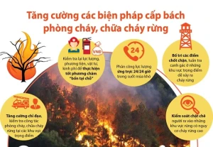 TÂN LỢI TĂNG CƯỜNG CÔNG TÁC PHÒNG CHÁY, CHỮA CHÁY RỪNG - CHUNG TAY BẢO VỆ TÀI NGUYÊN RỪNG