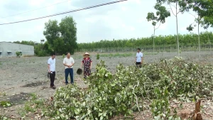 HIẾN ĐẤT PNJ