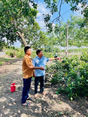 Gia đình ông Triệu Văn Thình - tấm gương tiêu biểu trong phong trào hiến đất, giải phóng mặt bằng xây dựng giao thông nông thôn