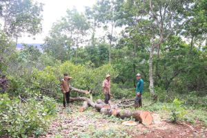 GƯƠNG ĐIỂN HÌNH TIÊN TIẾN TRONG PHONG TRÀO HIẾN ĐẤT LÀM ĐƯỜNG
