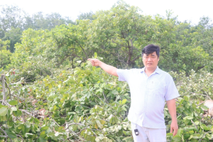 ANH ĐOÀN QUANG SÁNG - TẤM GƯƠNG TIÊU BIỂU ĐI ĐẦU TRONG PHONG TRÀO HIẾN ĐẤT LÀM ĐƯỜNG TẠI XÃ TÂN LỢI