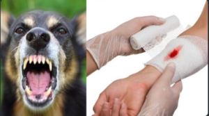 Screenshot 2025 09 18 102909