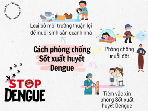 Cách phòng chống Sốt Xuất huyết Dengue