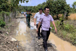 Sở Nông nghiệp và Môi trường kiểm tra công tác phòng, chống...