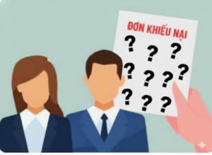 Hướng dẫn đơn của ông Nguyễn Hoàng Quốc Vương (ghi là đại...