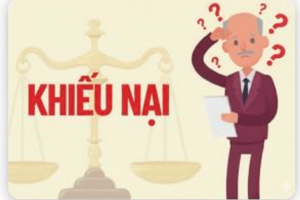 Thanh tra tỉnh hướng dẫn đơn bà Trần Bùi Bích Phượng ngụ xã...
