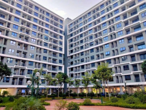 THÔNG TIN TUYÊN TRUYỀN VỀ NHÀ Ở XÃ HỘI TRÊN ĐỊA BÀN TỈNH ĐỒNG NAI