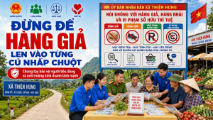 Trí tuệ
