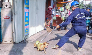 Hình minh họa