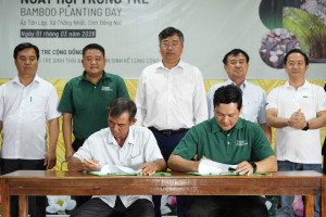 Lễ khởi động Ngày hội trồng tre: Chung tay vì môi trường và...