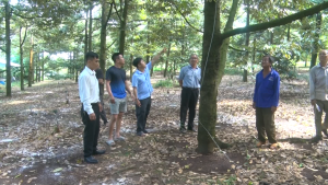 Đẩy mạnh phong trào “Nông dân thi đua sản xuất, kinh doanh...