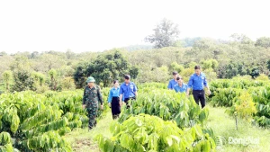 Thành công lớn từ những mô hình sáng tạo
