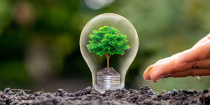 Phát động cuộc thi  trực tuyến tìm hiểu Pháp luật về bảo vệ Môi trường