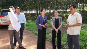 Đoàn công tác Sở Văn hoá – Thể thao và Du lịch khảo sát Di tích lịch sử cấp Quốc gia Địa điểm thành lập Chi bộ Đông Dương Cộng sản Đảng ở Phú Riềng