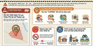 Thông tin nhanh về tình hình Dịch tả lợn Châu Phi tại xã Thuận Lợi