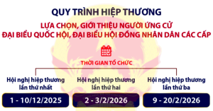 Quy trình hiệp thương lựa chọn, giới thiệu người ứng cử đại biểu Quốc hội, đại biểu Hội đồng nhân dân các cấp