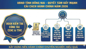 Đồng Nai thành lập đoàn kiểm tra công tác cải cách hành chính và kiểm soát tthc năm 2026