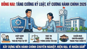 Đồng Nai tăng cường kiểm tra trách nhiệm công vụ,...
