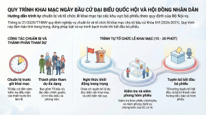 iNFO G BẦU CỬ 1