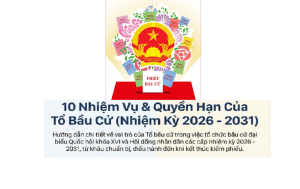 nền 22