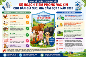 UBND Xã Thuận Lợi Thông Báo Kế Hoạch Tiêm Phòng Vắc Xin Cho Đàn Gia Súc, Gia Cầm Đợt 1 Năm 2026