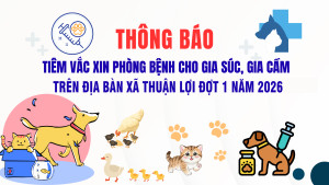 THONG BAO