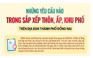 [Infographic] Những yêu cầu nào trong sắp xếp thôn, ấp, khu phố trên địa bàn thành phố Đồng Nai?