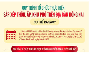 [Infographic] Quy trình tổ chức thực hiện sắp xếp thôn, ấp, khu phố trên địa bàn Đồng Nai cụ thể ra sao?
