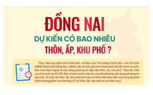 [Infographic] Đồng Nai dự kiến có bao nhiêu thôn, ấp, khu phố?